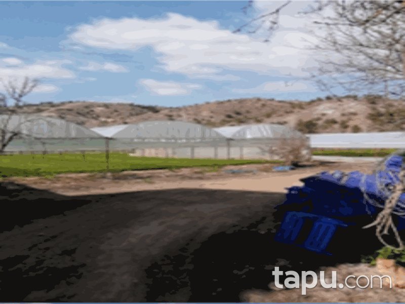 Bilecik Söğüt Çaltı/Şen Mahallesi'nde 6640 m2 Bahçe