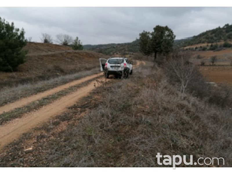 Bilecik Söğüt Geçitli Köyünde 3700 m2 Tarla