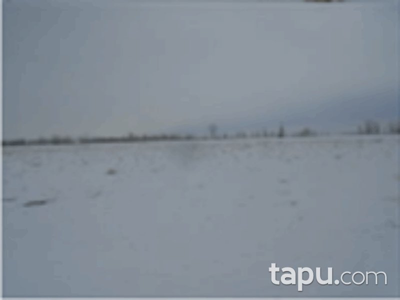 Niğde Merkez Kiledere Mahallesi'nde 9528 m2 Tarla