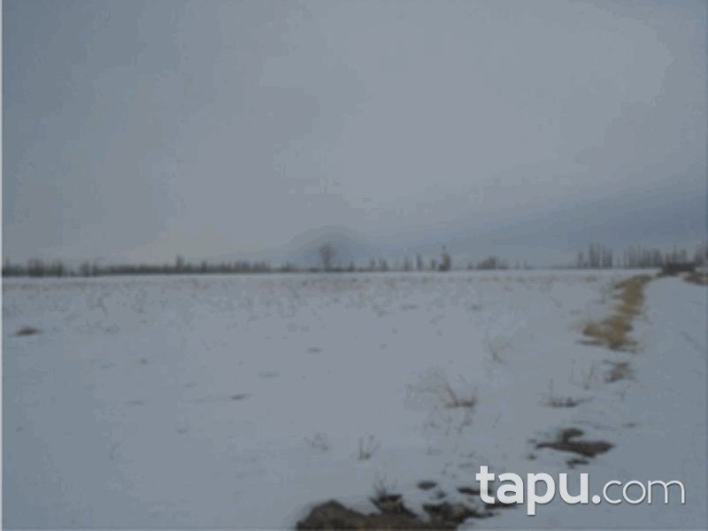 Niğde Merkez Kiledere Mahallesi'nde 9528 m2 Tarla