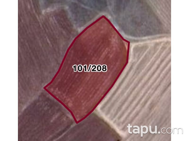 Çorum Sungurlu Akpınar Mahallesi'nde 10048 m2 Tarla