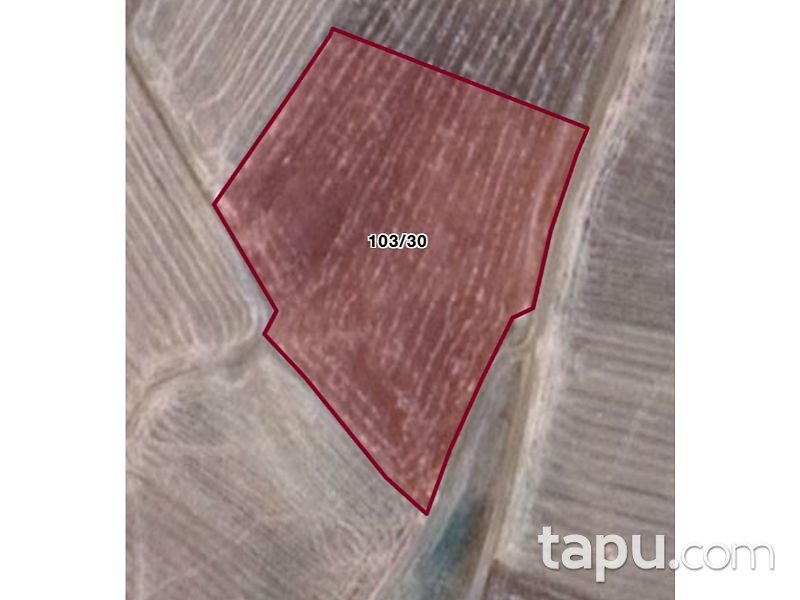 Çorum Sungurlu Akpınar Mahallesi'nde 11300 m2 Tarla
