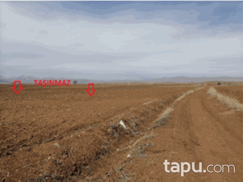 Kahramanmaraş Afşin Hurman Mahallesi'nde 27100 m2 Tarla