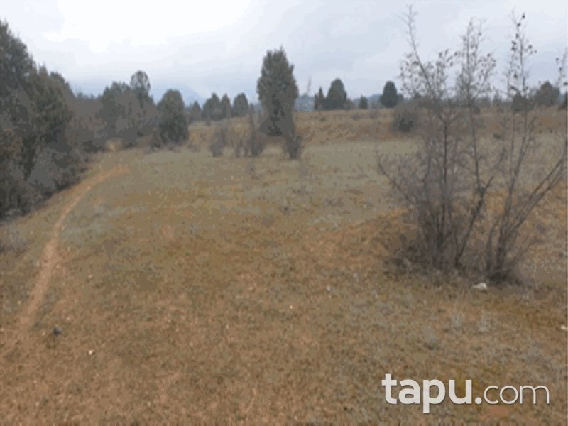 Bilecik Söğüt Tuzaklı Mahallesi'nde 2525 m2 Tarla