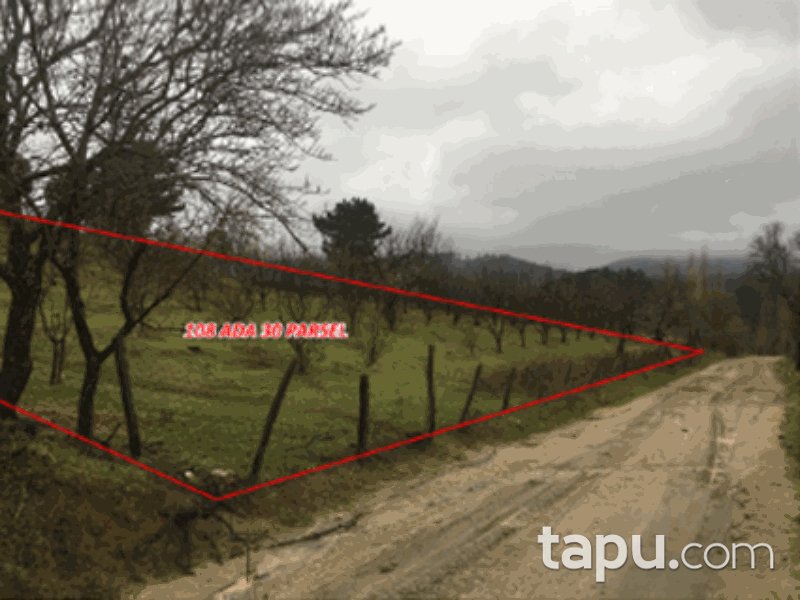 Çanakkale Bayramiç Beşik Mahallesi'nde 6300 m2 Tarla ve Bağ