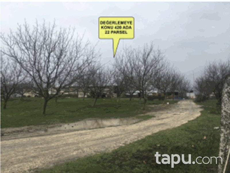 Edirne Keşan Yenimuhacir Mahallesi'nde 13 Dönüm Tarla