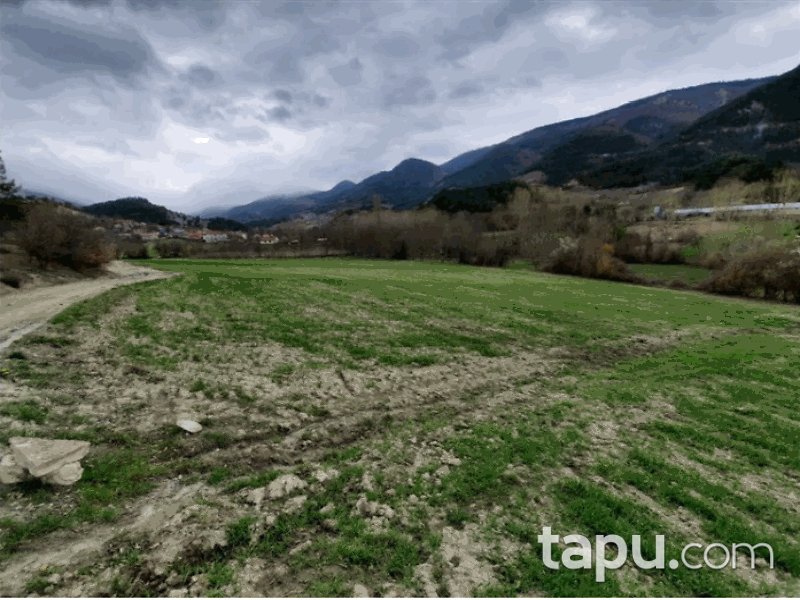 Bolu Göynük Kaçıkçışeyhler Mahallesi'nde 2361 m2 Tarla