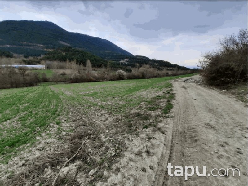 Bolu Göynük Kaçıkçışeyhler Mahallesi'nde 2361 m2 Tarla