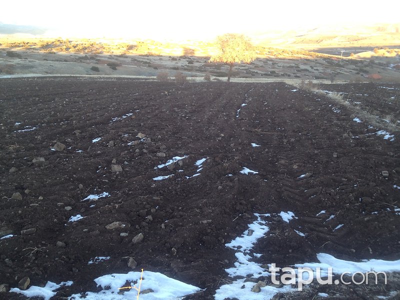 Burdur Yeşilova Orhanlı Mahallesi'nde 2163 m2 Tarla