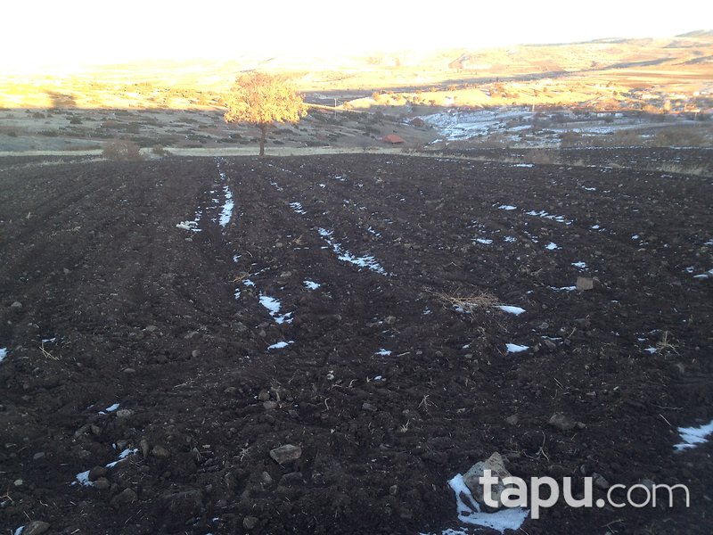 Burdur Yeşilova Orhanlı Mahallesi'nde 2163 m2 Tarla
