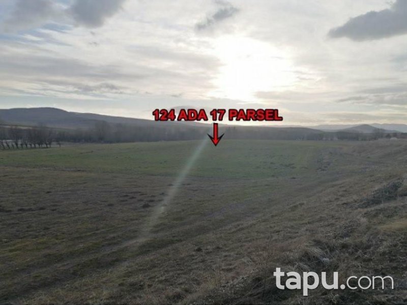 Çankırı Çerkeş Karamustafa Mahallesi'nde 4089 m2 Tarla