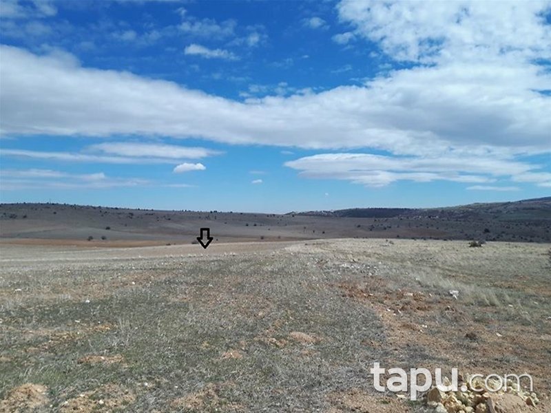 Konya Ilgın Geçit Mahallesi'nde 16122 m2 Tarla