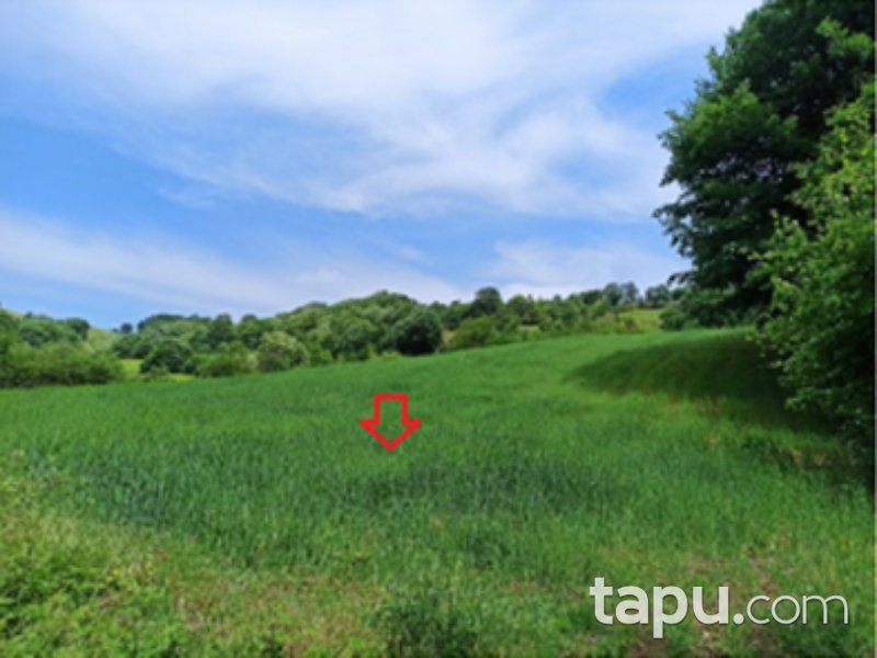 Bursa Yenişehir Mecidiye Mahallesi'nde 1660 m2 Tarla