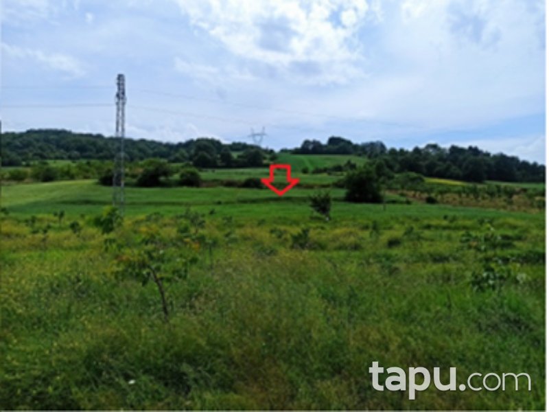 Bursa Yenişehir Mecidiye Mahallesi'nde 1080 m2 Tarla