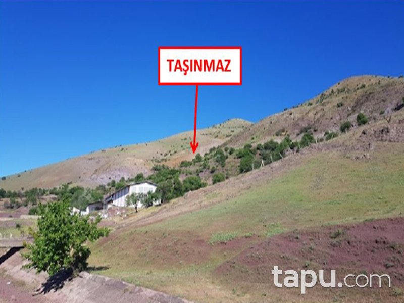 Elazığ Merkez Çağlar Mahallesi'nde 38817 m2 Tarla