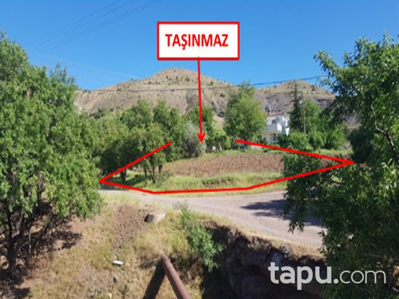 Elazığ Merkez Çağlar Mahallesi'nde 3621 m2 Sulu Tarla
