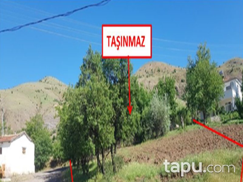 Elazığ Merkez Çağlar Mahallesi'nde 3621 m2 Sulu Tarla