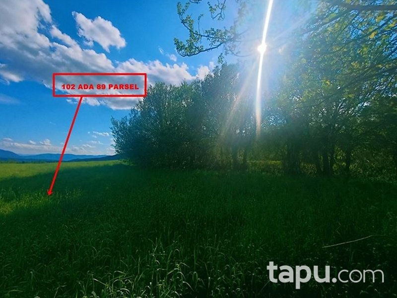 Bolu Mudurnu Dodurga Mahallesi'nde 11223 m2 Tarla