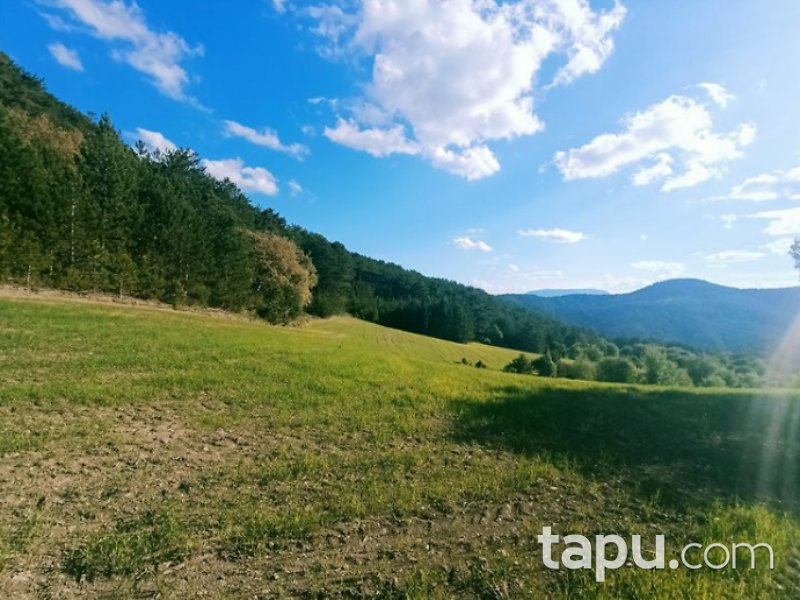 Bolu Mudurnu Dodurga Mahallesi'nde 7256 m2 Tarla