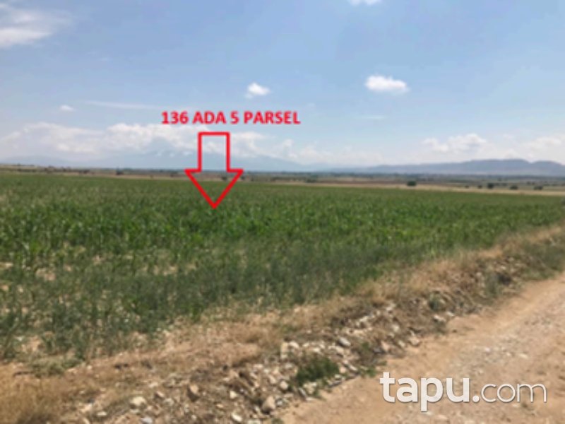 Denizli Çivril İmrallı Mahallesi'nde 12 Dönüm Tarla
