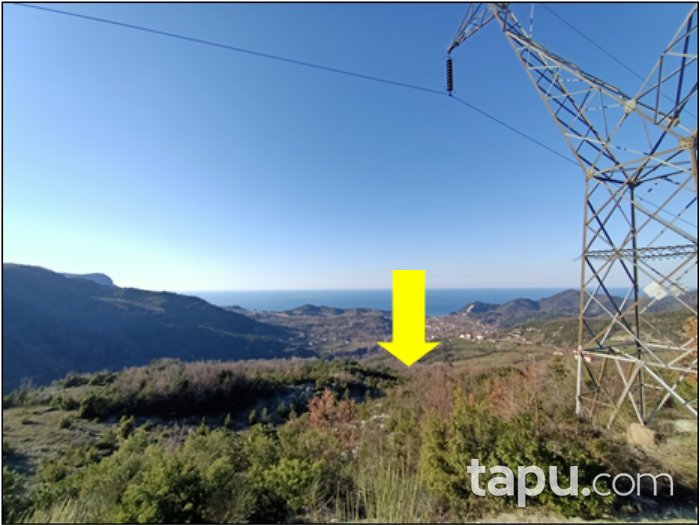 Bartın Amasra Topallar Mahallesi'nde 34 Dönüm Tarla