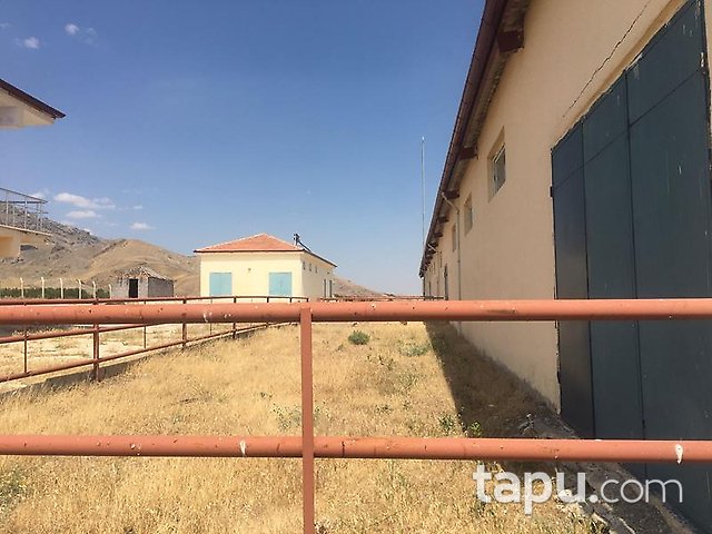 Elazığ Merkez Sedeftepe Mahallesi'nde Bina ve 10 Dönüm Arazi
