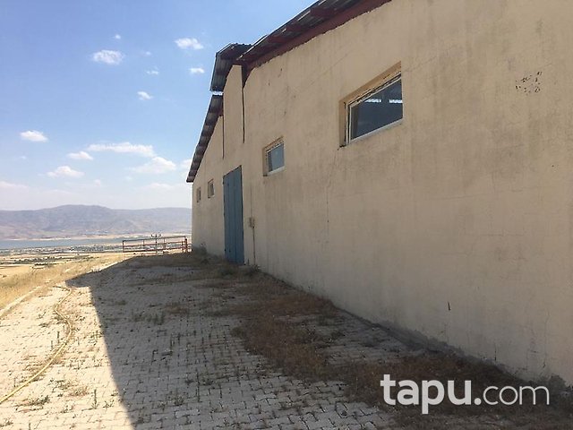 Elazığ Merkez Sedeftepe Mahallesi'nde Bina ve 10 Dönüm Arazi