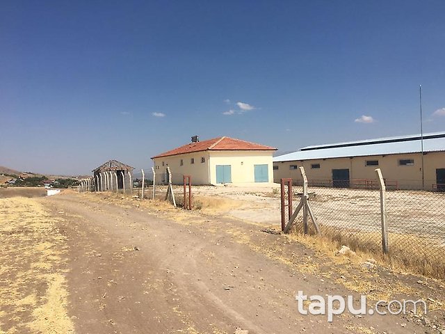 Elazığ Merkez Sedeftepe Mahallesi'nde Bina ve 10 Dönüm Arazi