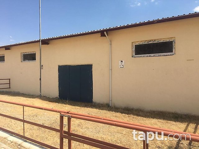 Elazığ Merkez Sedeftepe Mahallesi'nde Bina ve 10 Dönüm Arazi