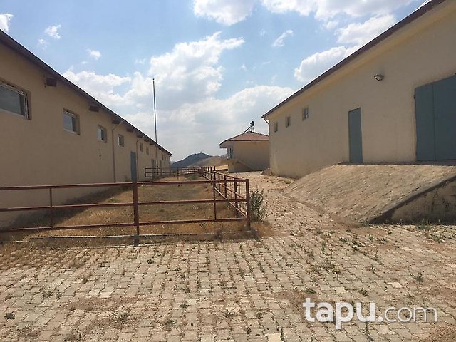 Elazığ Merkez Sedeftepe Mahallesi'nde Bina ve 10 Dönüm Arazi