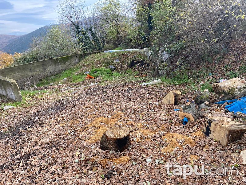Balıkesir Gönen Çobanhamidiye Mahallesinde 68 m2 Tek Katlı Betonarme Ev, Üç Adet Dam ve Tarla