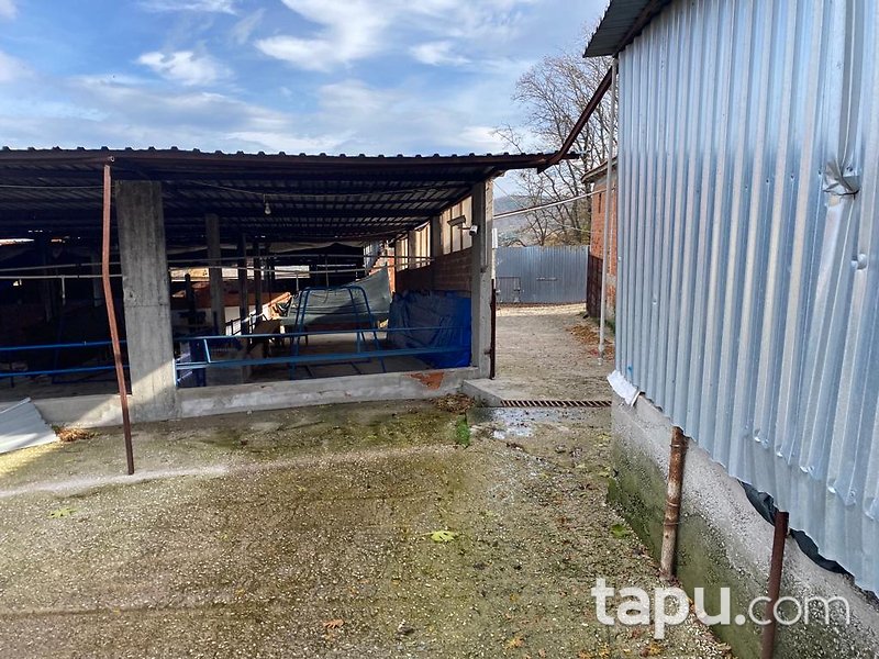 Balıkesir Gönen Çobanhamidiye Mahallesinde 68 m2 Tek Katlı Betonarme Ev, Üç Adet Dam ve Tarla
