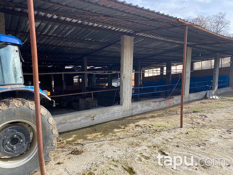 Balıkesir Gönen Çobanhamidiye Mahallesinde 68 m2 Tek Katlı Betonarme Ev, Üç Adet Dam ve Tarla