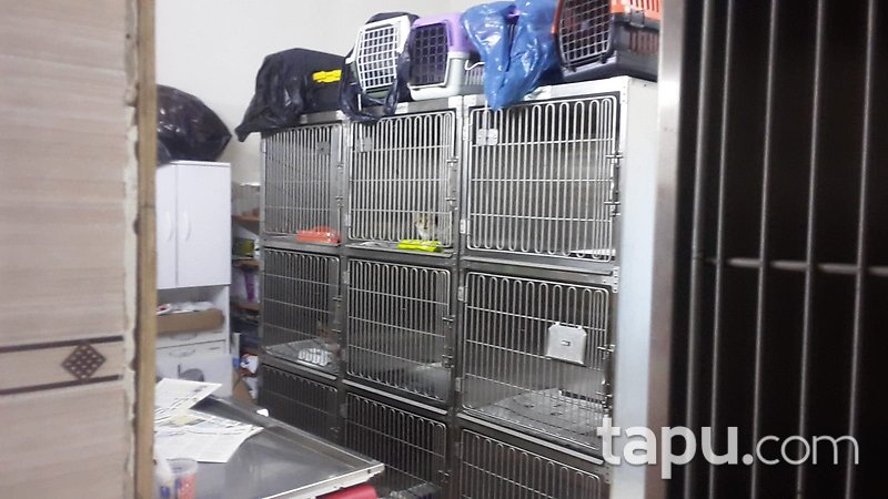 Sakarya Sapanca Şehit Cevdet Koç Caddesi'ne Cepheli 85 m2 Dükkan
