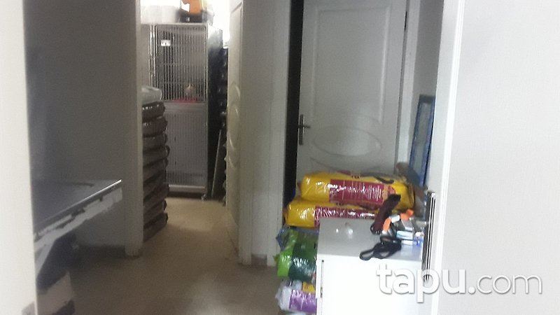Sakarya Sapanca Şehit Cevdet Koç Caddesi'ne Cepheli 85 m2 Dükkan