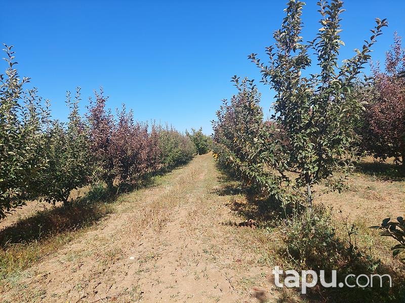 Isparta Kirlikkırı Mevkii'nde 1550 m2 Tarla