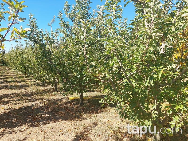 Isparta Kirlikkırı Mevkii'nde 1550 m2 Tarla