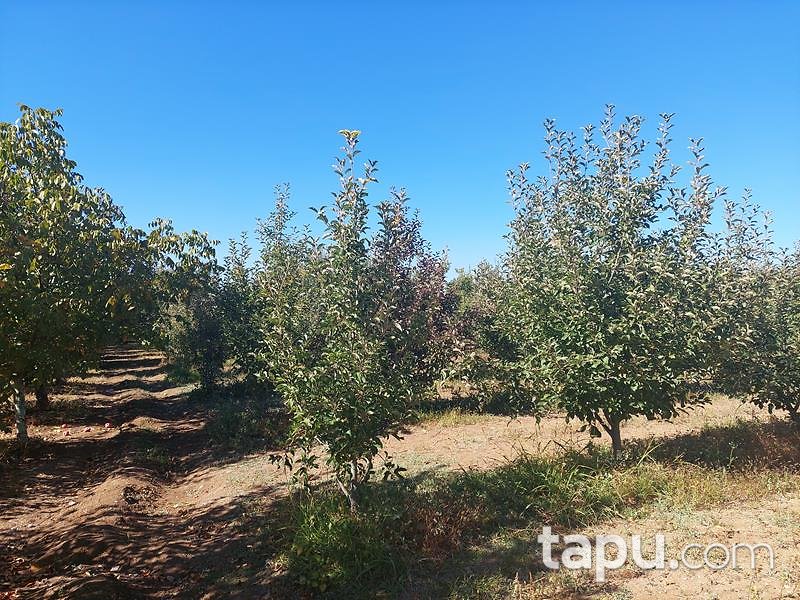 Isparta Kirlikkırı Mevkii'nde 1550 m2 Tarla