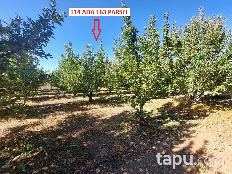 Isparta Kirlikkırı Mevkii'nde 1774 m2 Tarla