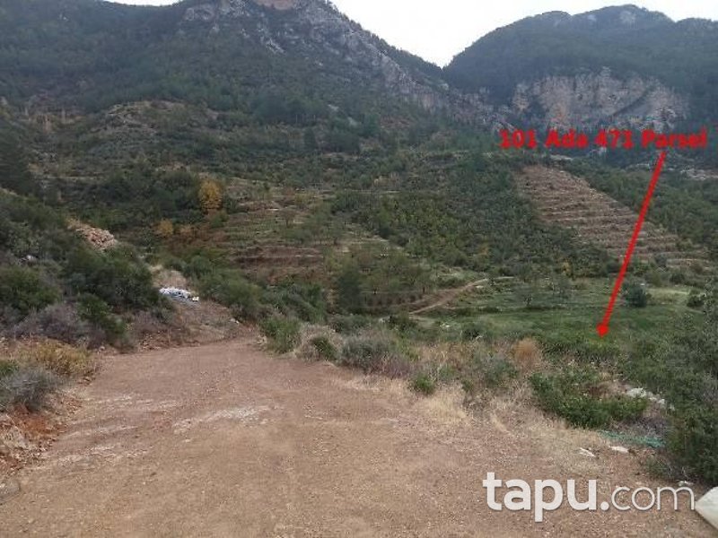 Doğanca Merkez'de Yola Cepheli 6095 m2 Hisseli Tarla