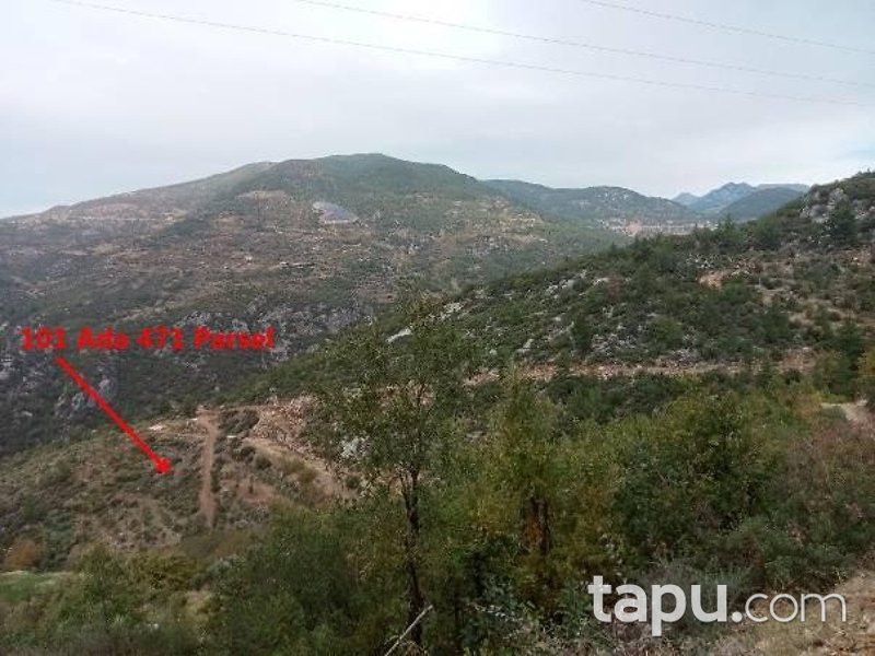 Doğanca Merkez'de Yola Cepheli 6095 m2 Hisseli Tarla