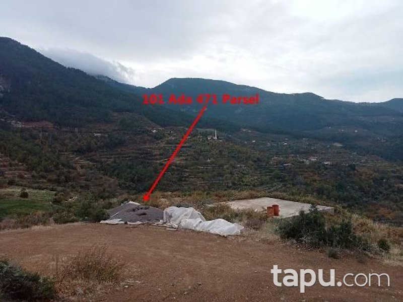 Doğanca Merkez'de Yola Cepheli 6095 m2 Hisseli Tarla