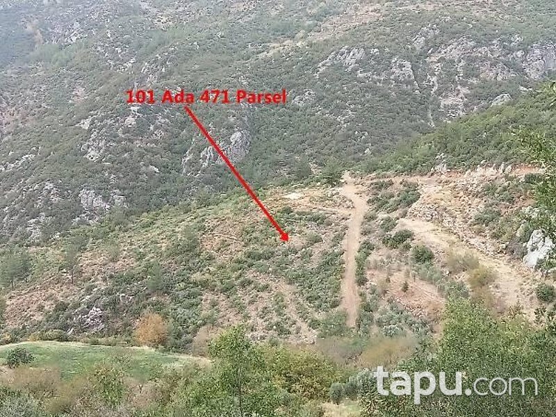 Doğanca Merkez'de Yola Cepheli 6095 m2 Hisseli Tarla