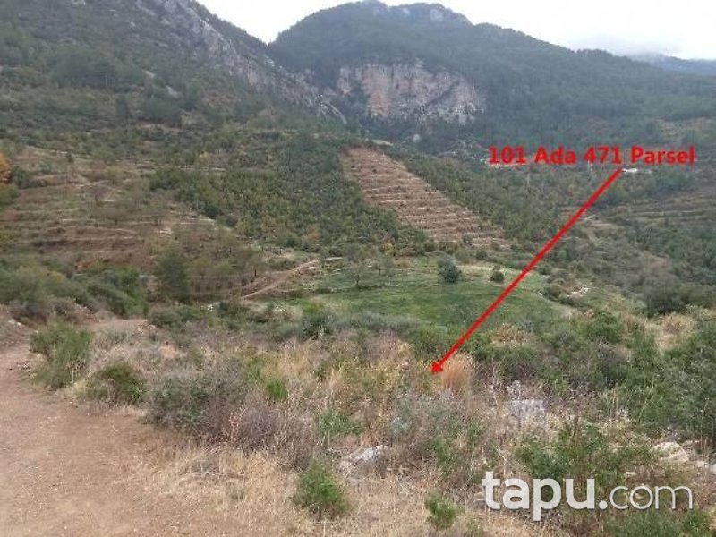 Doğanca Merkez'de Yola Cepheli 6095 m2 Hisseli Tarla
