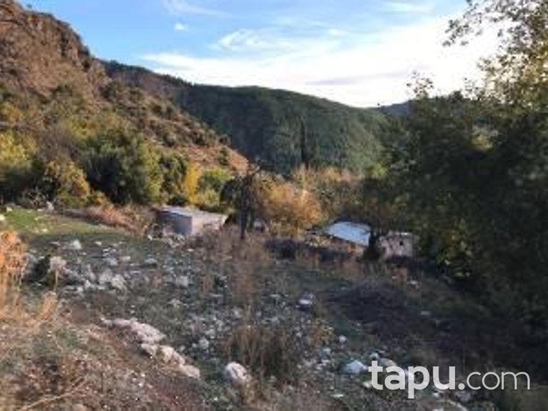 Antalya Kumluca Karaşar Mevkii'nde Hisseli 34371 m2 Tarla