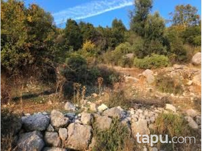 Antalya Kumluca Karaşar Mevkii'nde Hisseli 34371 m2 Tarla