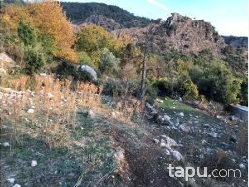 Antalya Kumluca Karaşar Mevkii'nde Hisseli 34371 m2 Tarla