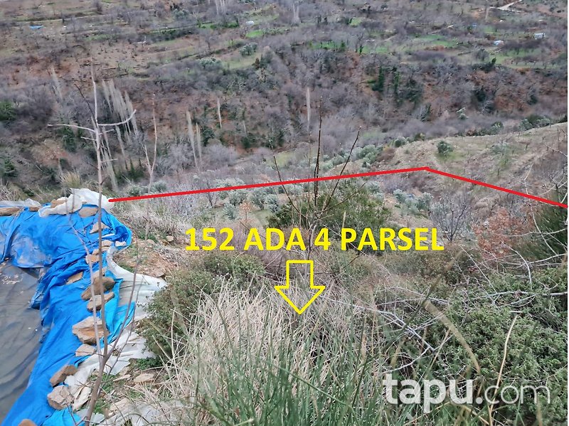Ödemiş Demirdere Mahallesi'nde 2742 m2 Zeytin Bahçesi (1594)