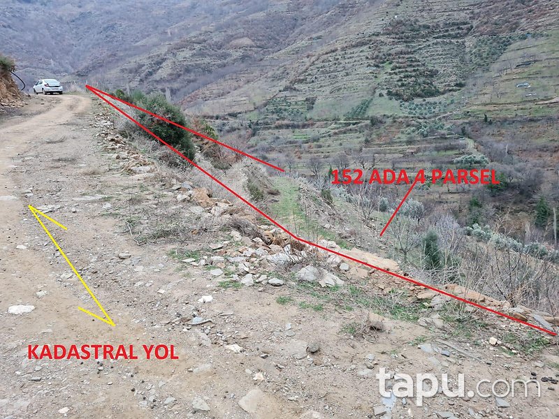Ödemiş Demirdere Mahallesi'nde 2742 m2 Zeytin Bahçesi (1594)