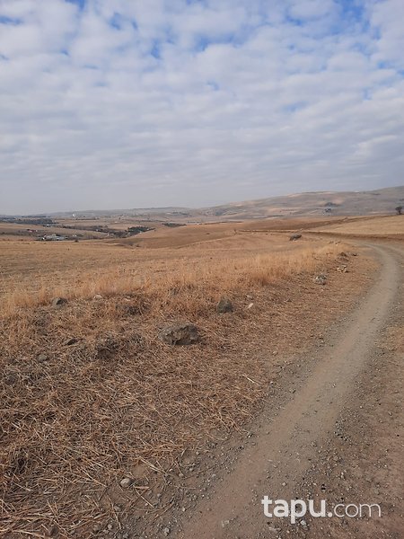 Ankara Elmadağ Yenimahalle'de Yola Cepheli 15 Dönüm Tarla